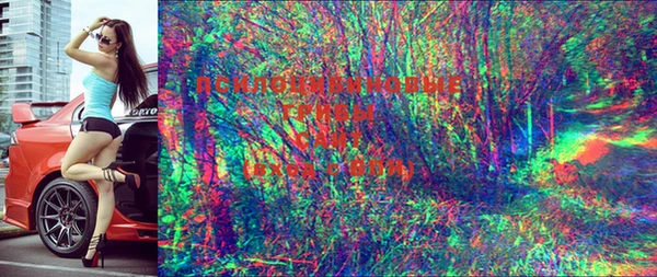 mix Магас
